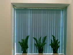 專(zhuān)業(yè)窗簾解決方案 從遮光辦公窗簾到布藝窗簾的全面供應(yīng)商指南